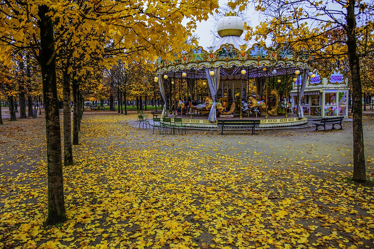 Le jardin des Tuileries en automne (photo provisoire)